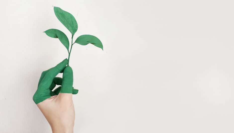 Ecología en el mundo de los Jabones Artesanales
